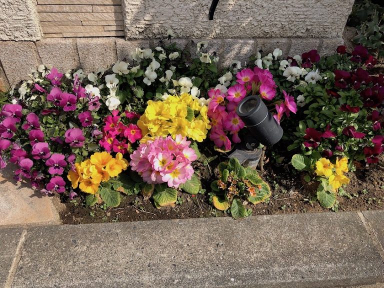 季節ごとに玄関先に植えるお勧めの花 素人実践 すなかじ